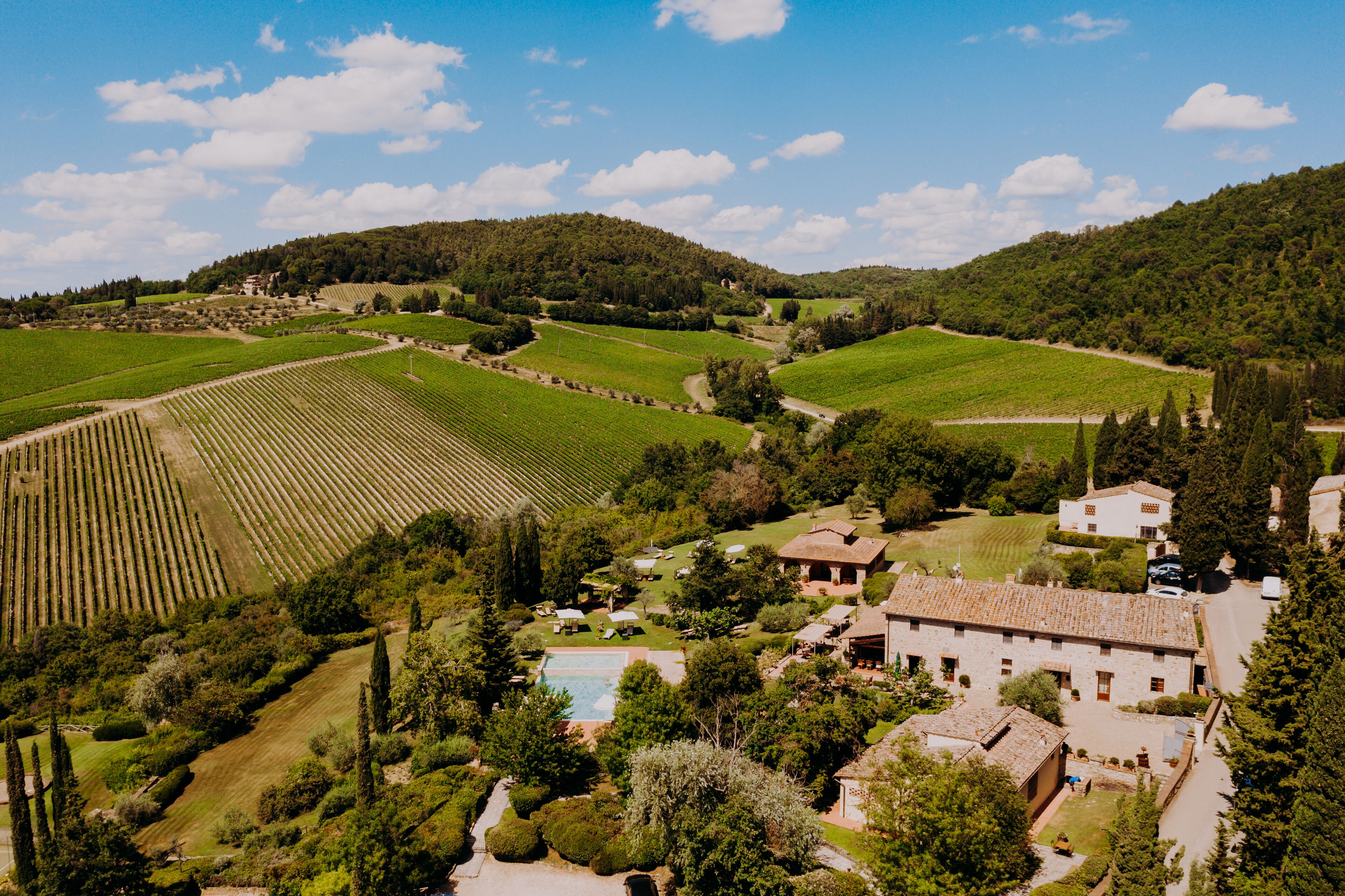 A vineyard with rows of grapevines, a swimming pool, and a building with a tiled roof.