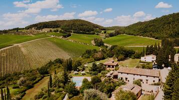 A vineyard with rows of grapevines, a swimming pool, and a building with a tiled roof.