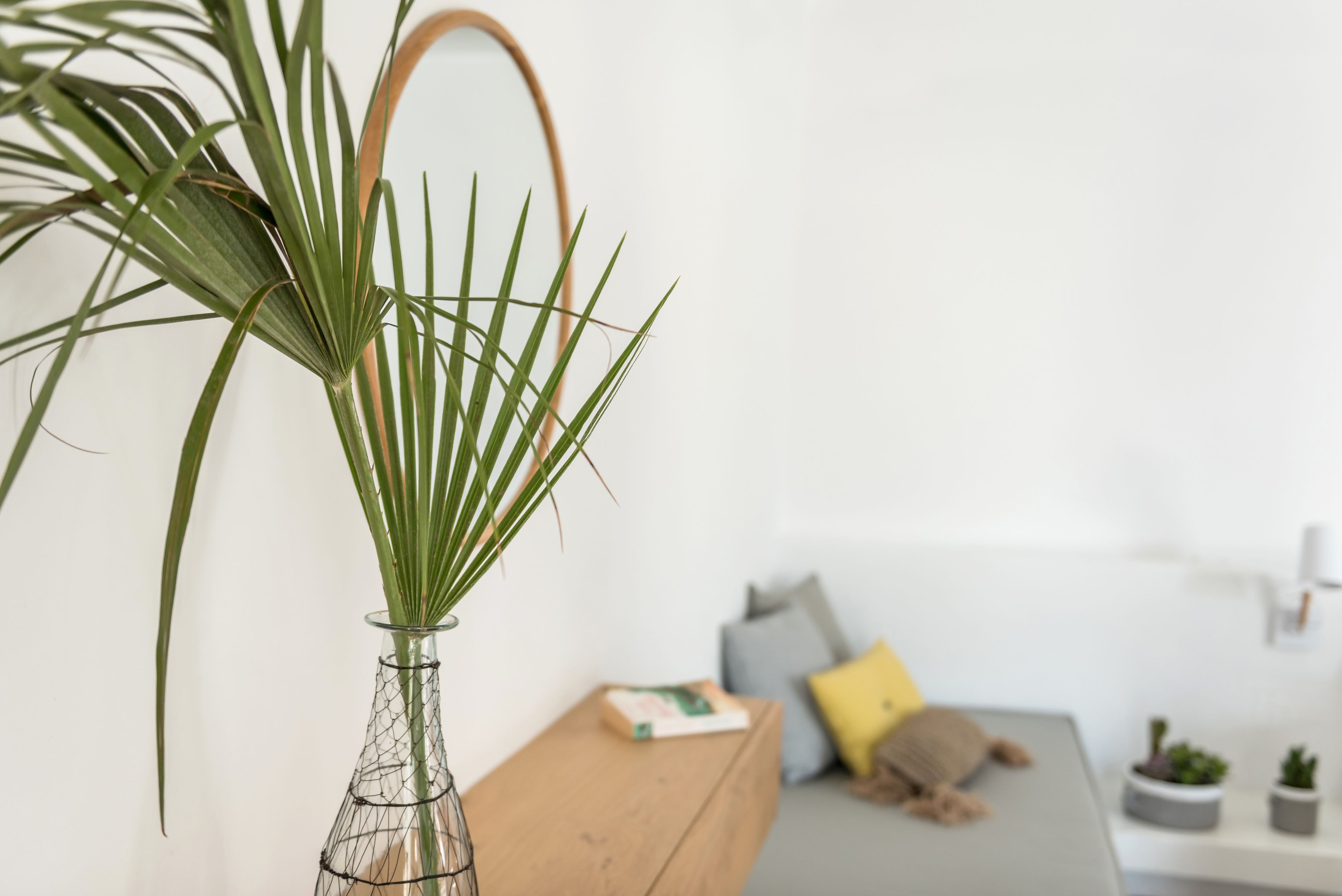 A modern living room with a glass vase containing a plant with long green leaves, a wooden bench, and a grey sofa with cushions.