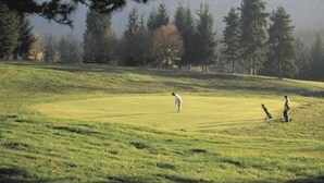 Un campo de golf con una persona de camisa blanca a punto de golpear una pelota.