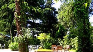 Un jardín con un banco y una mesa, rodeado de árboles.