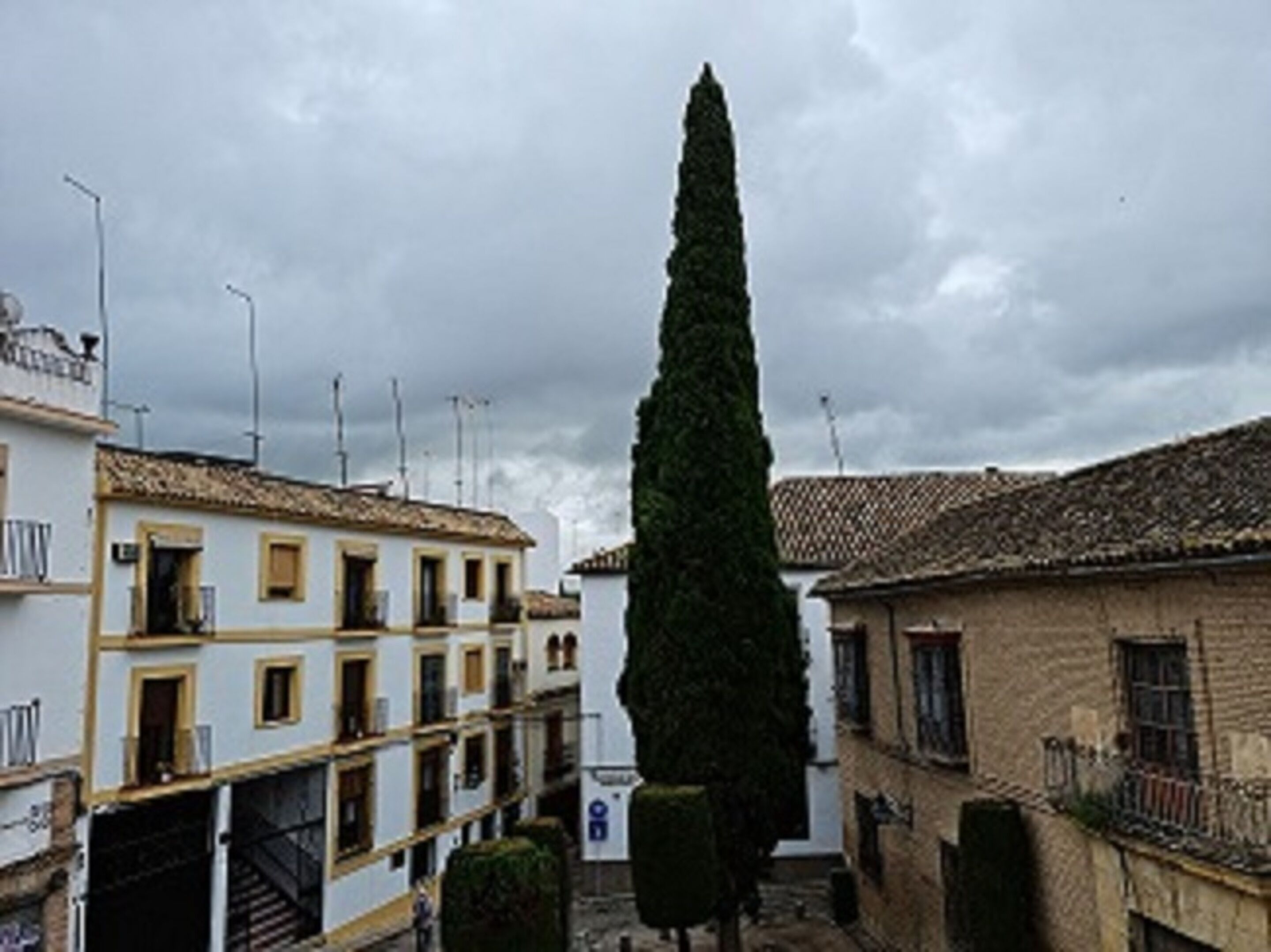 Foto - Hotel Plateros