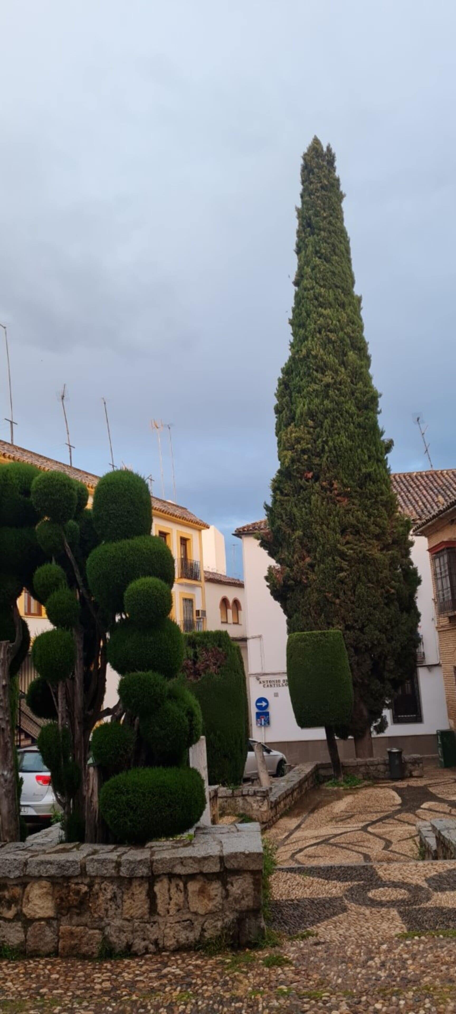 Foto - Hotel Plateros