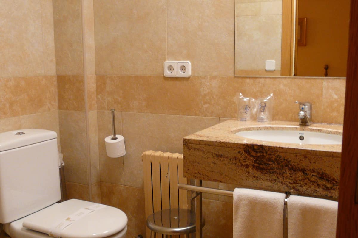 economy double room | bathroom | hair dryer, towels