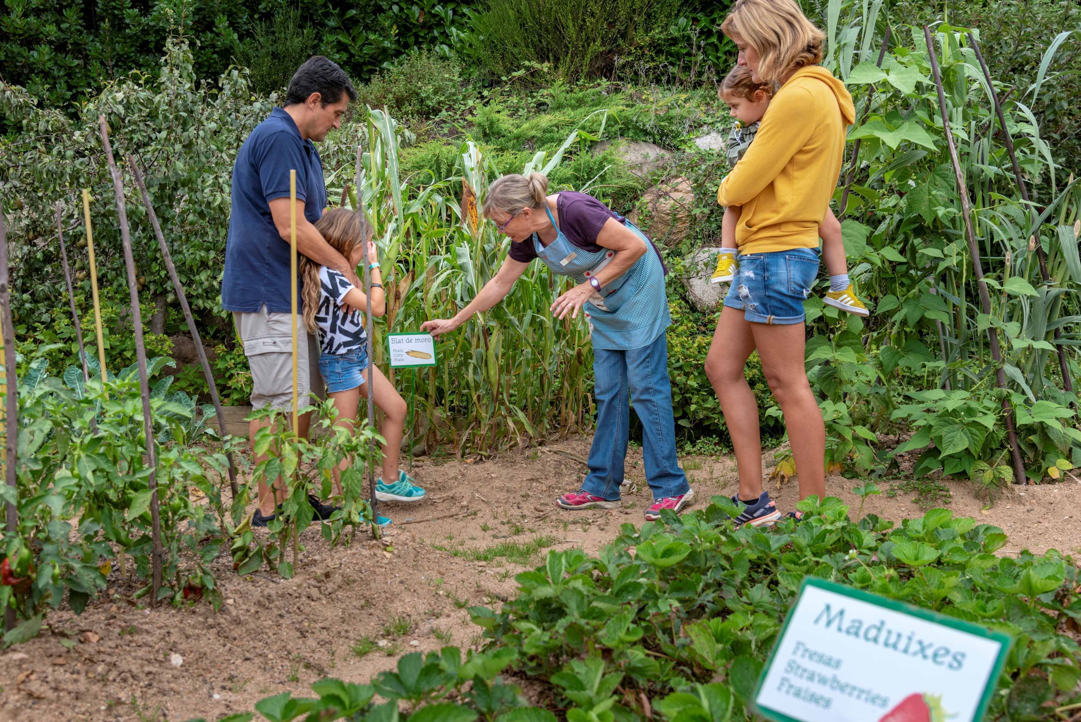 Een groep mensen in een tuin met verschillende planten, waaronder een bordje met de tekst 'Maduixes'.