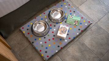 A pet bed with two metal bowls and a dog food package on a star-patterned mat.