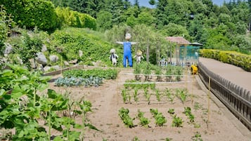 Jardin