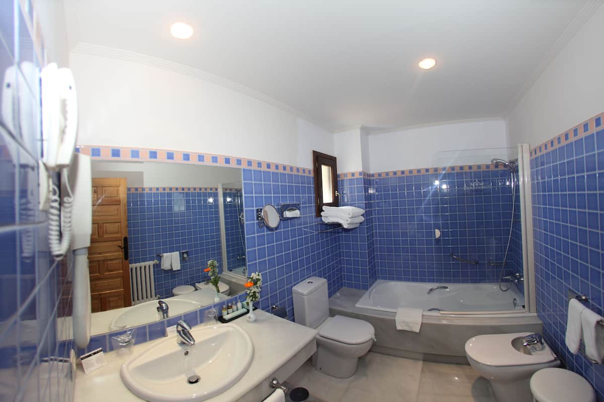 combined shower/bathtub, eco-friendly toiletries, hair dryer, bidet