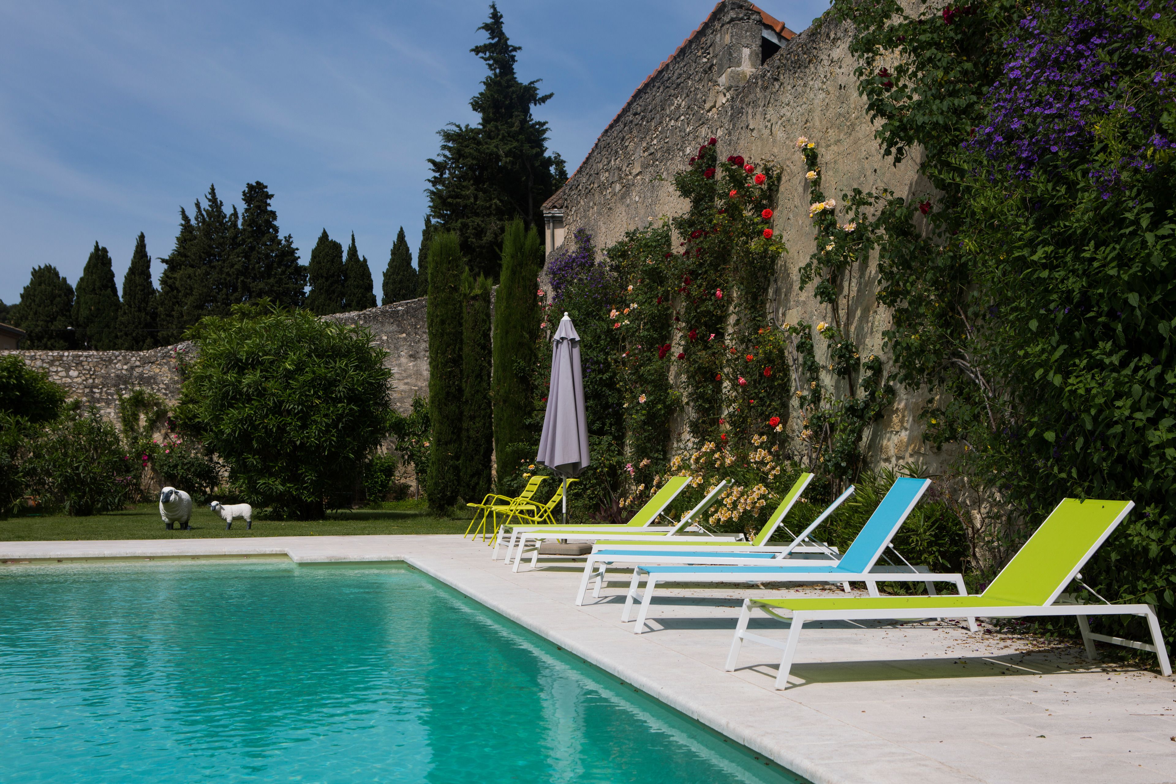 Un espace aménagé au bord de la piscine, avec des chaises longues et un mur en pierre recouvert de plantes grimpantes.