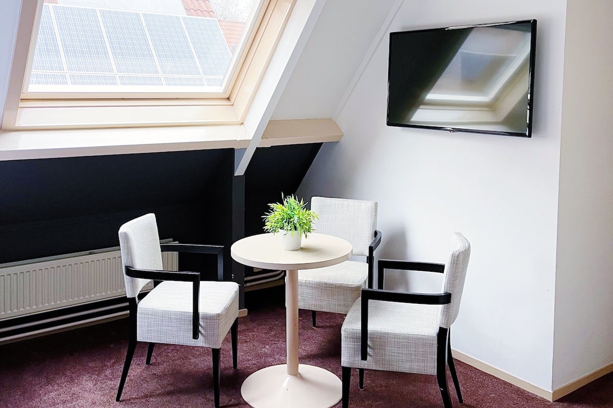 A modern room with a skylight, a round table with chairs, a potted plant, a radiator, and a mounted TV.