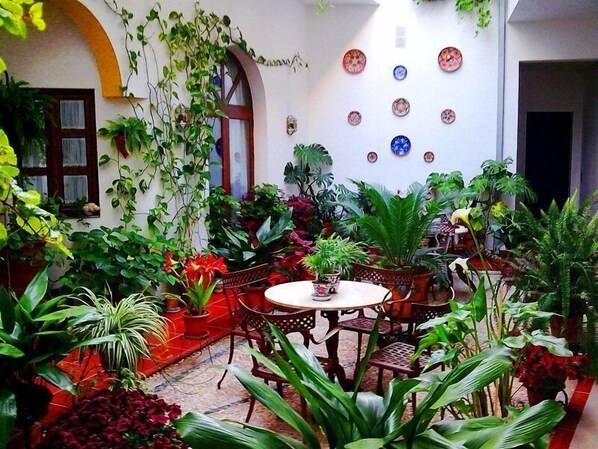 Terrace/patio - Hotel San Miguel (Córdoba)