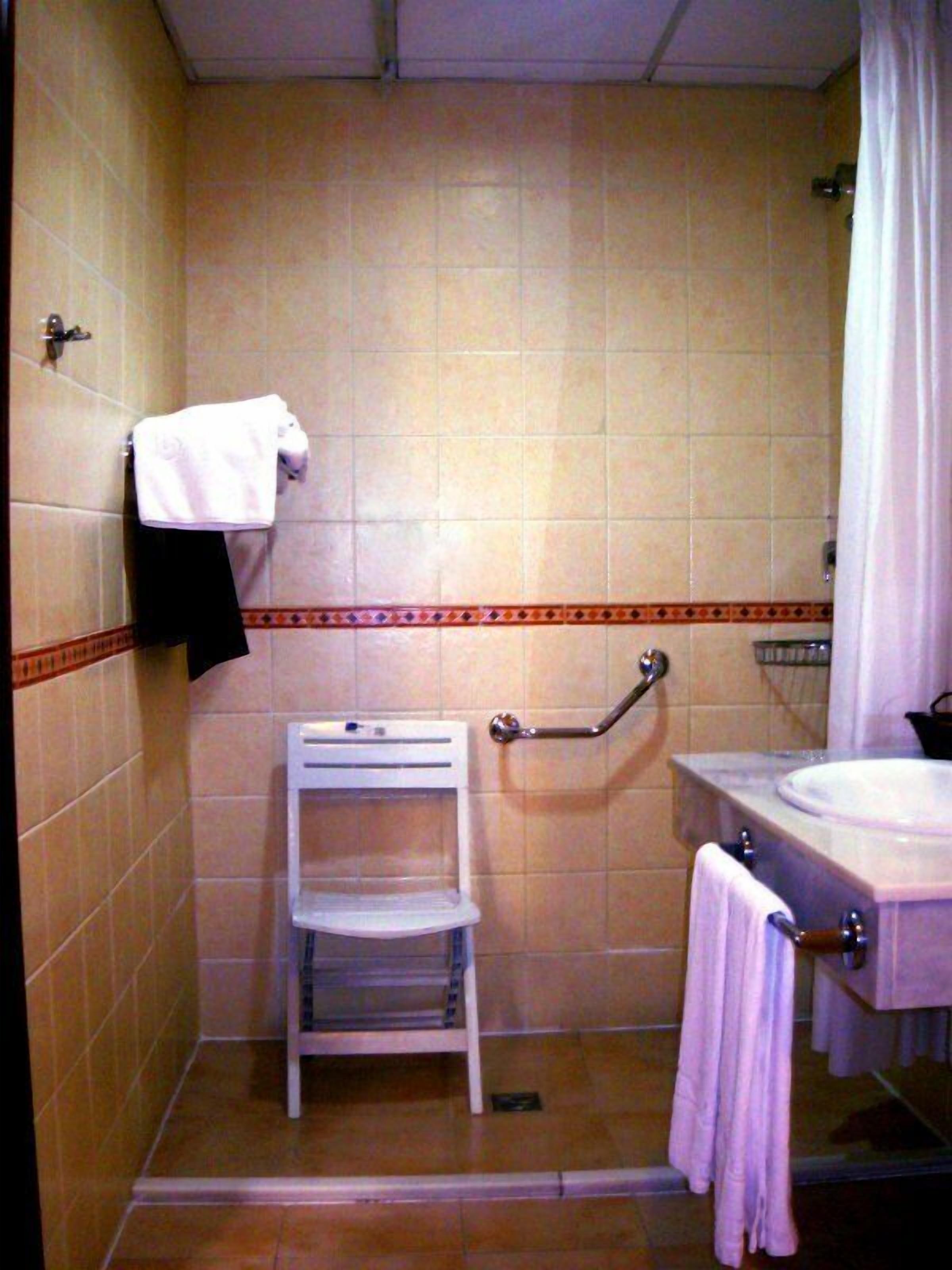 hair dryer, bidet, towels