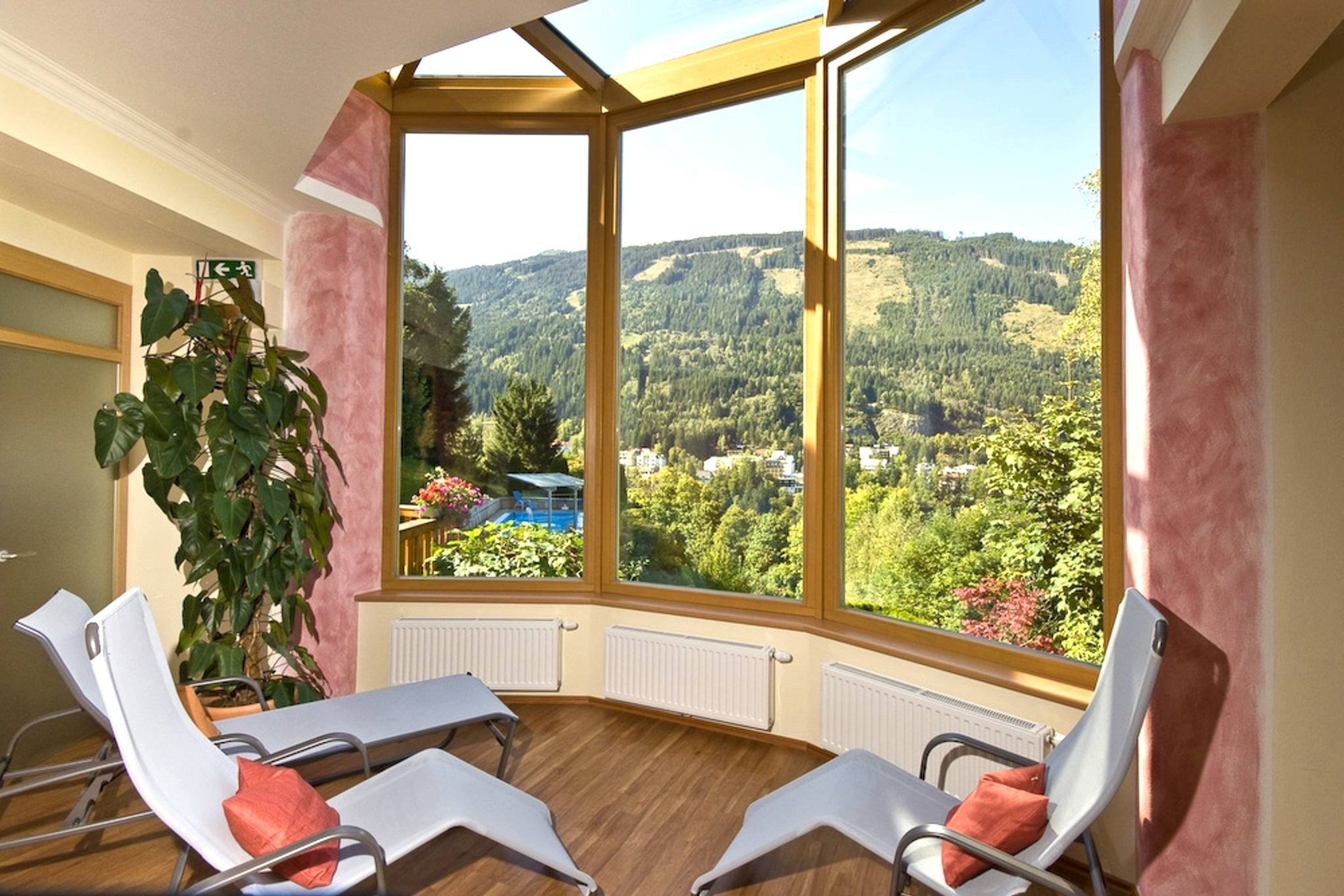 수치료, 반사요법