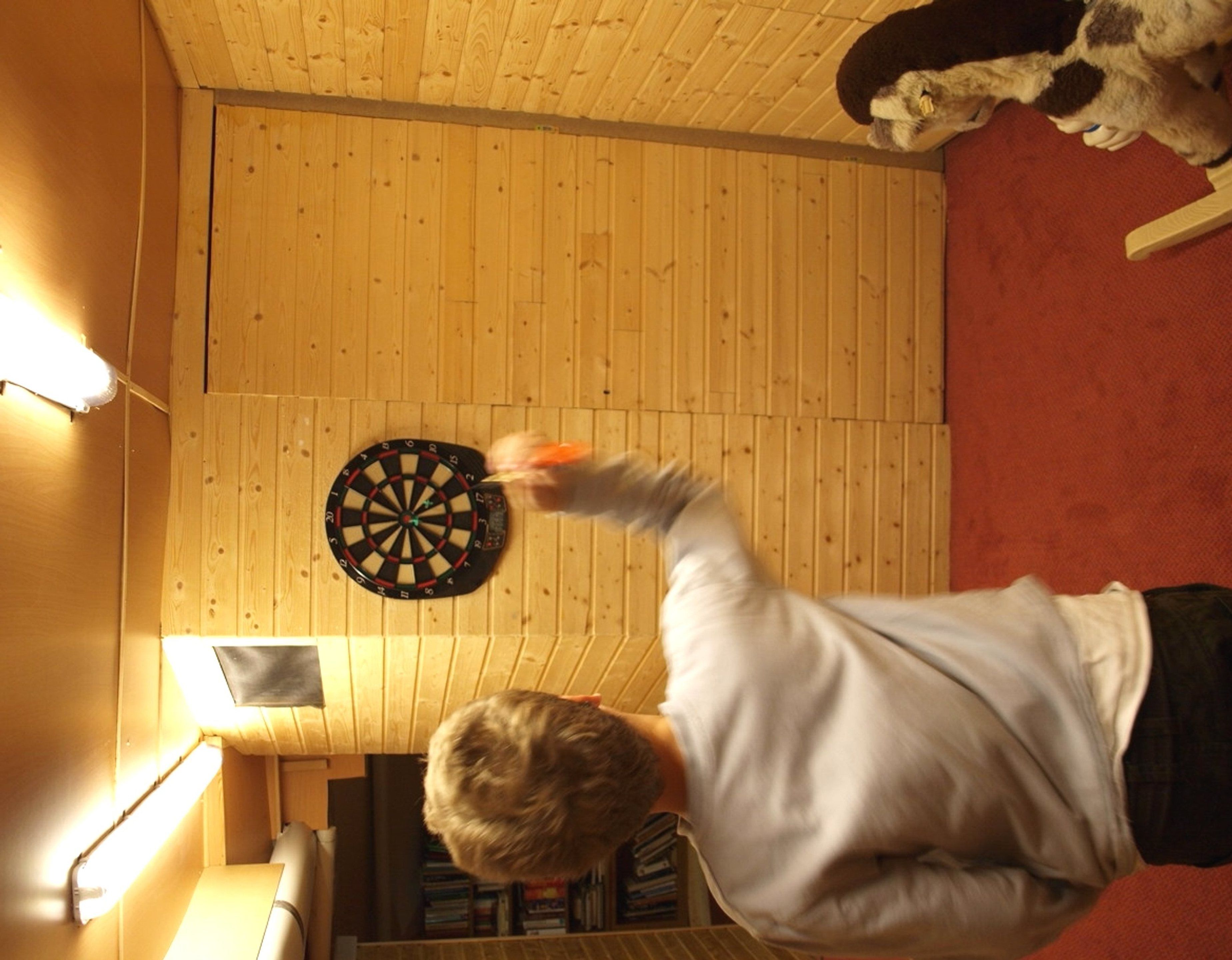 Een kamer met houten wanden, een dartbord en een boekenplank.