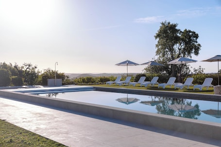 Outdoor pool, sun loungers