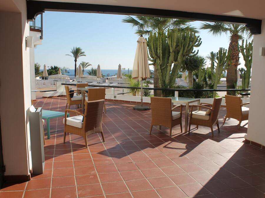Una terraza con sillas y mesas, vista al mar y palmeras.