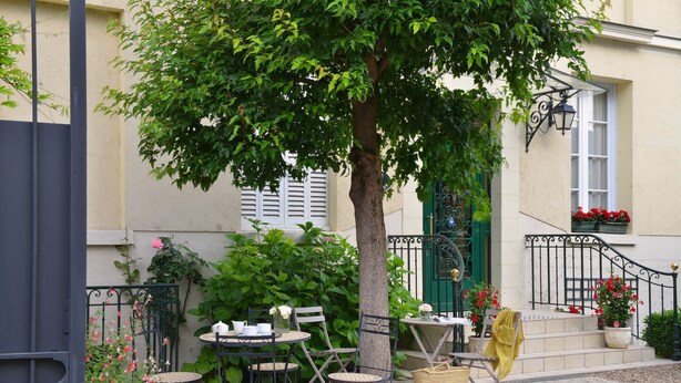An outdoor seating area with tables and chairs, a tree, and potted plants. - Hôtel du Manoir (Tours)