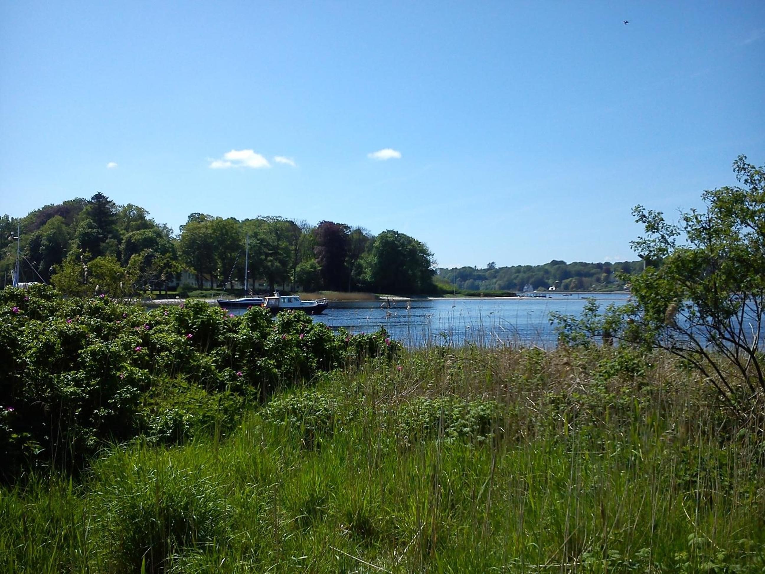 A river with boats, surrounded by dense greenery and trees.