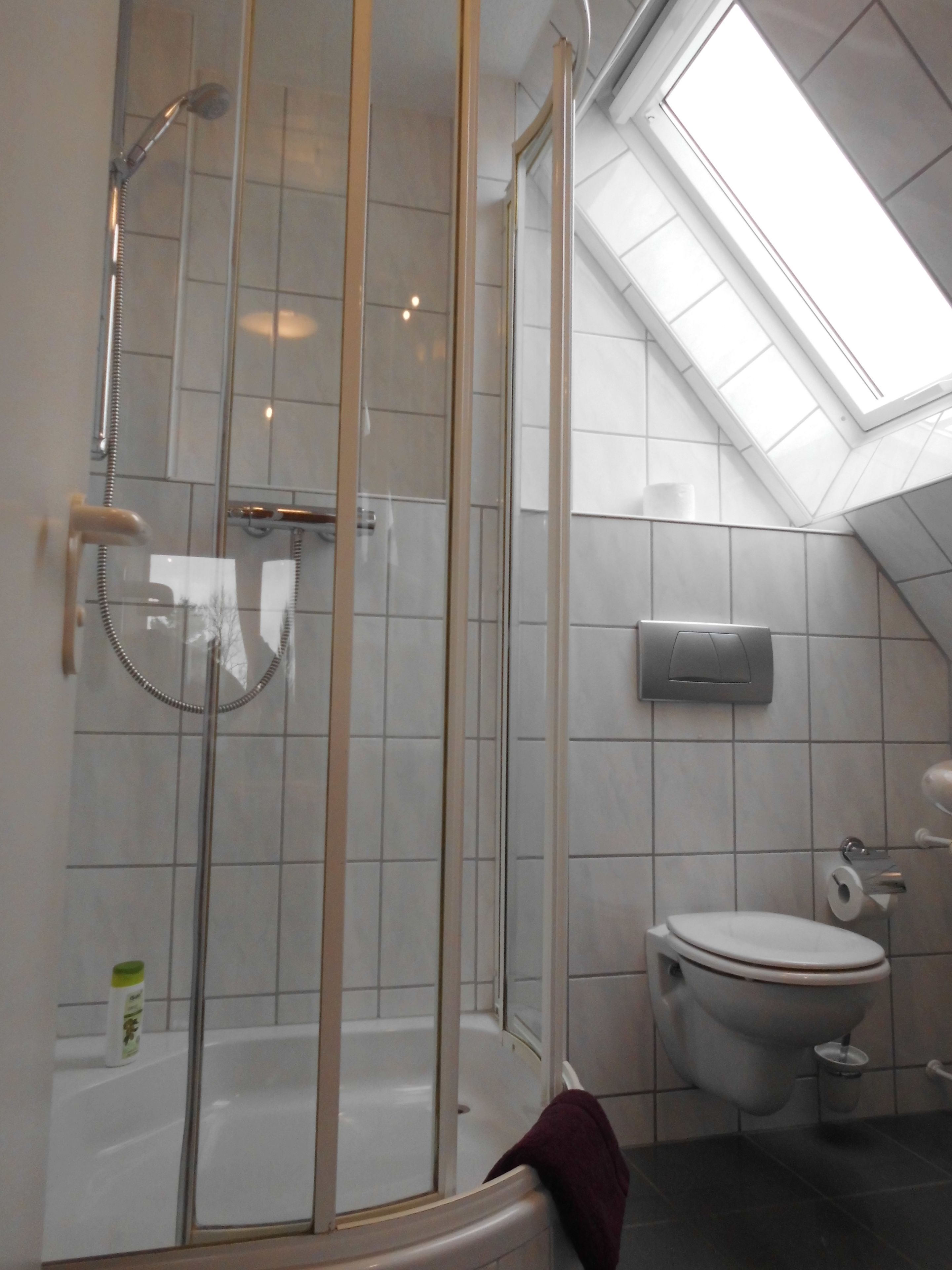 Un baño moderno con ducha envuelta en vidrio, inodoro y tragaluz.