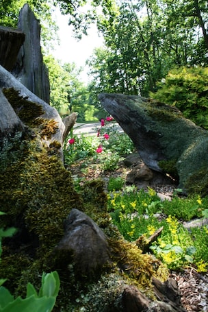 Khu ẩm thực ngoài trời