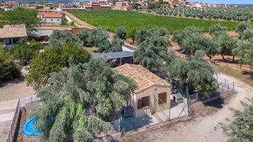 A rural property with a vineyard, olive trees, and a small building with a tiled roof.