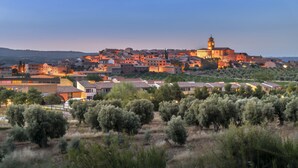 A historic town with a prominent tower, surrounded by olive groves and traditional buildings.