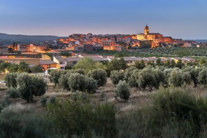 A historic town with a prominent tower, surrounded by olive groves and traditional buildings.