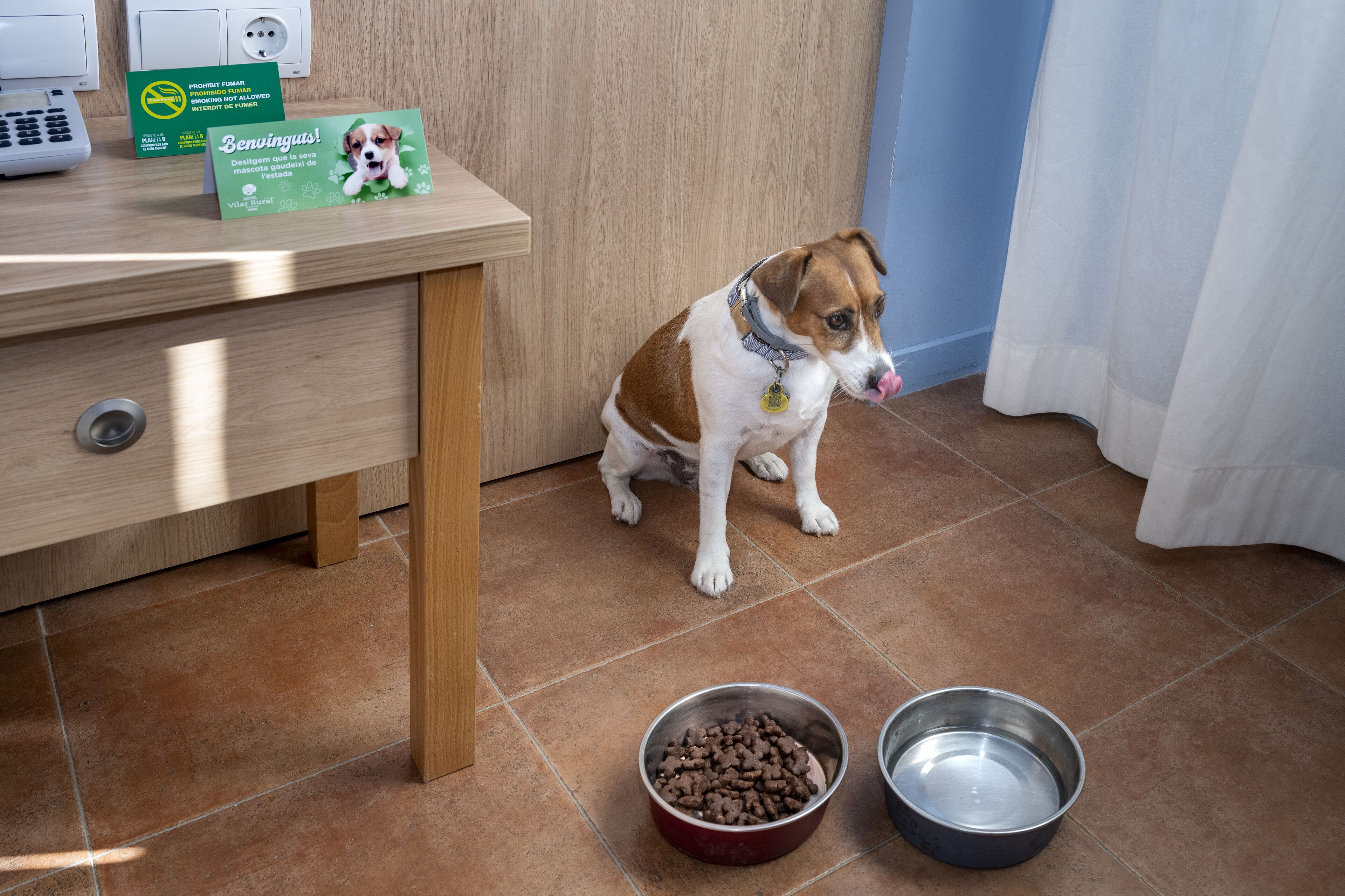 1 bedroom, in-room safe, desk, laptop workspace