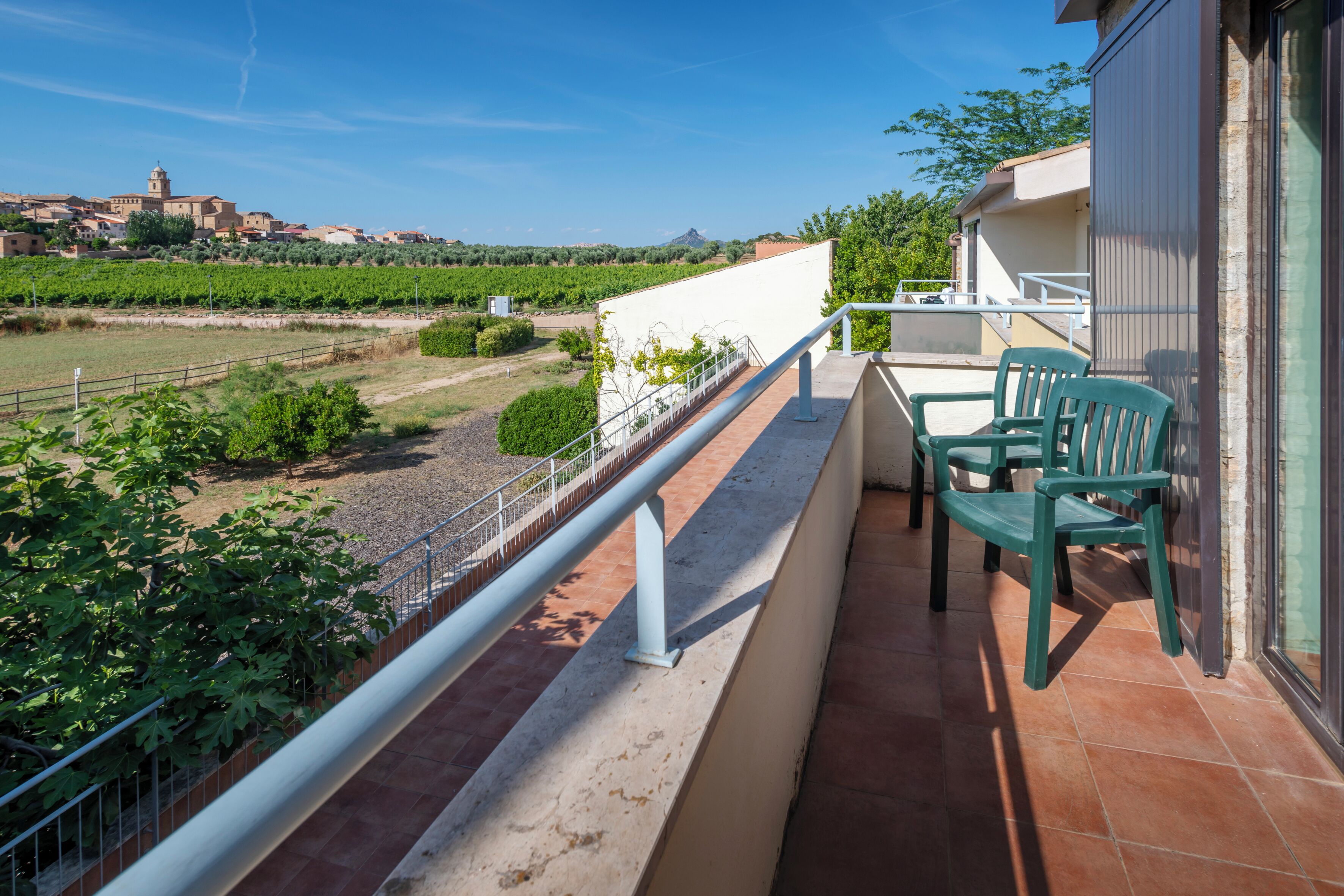 Un balcon offrant une vue sur les vignes et une montagne lointaine.