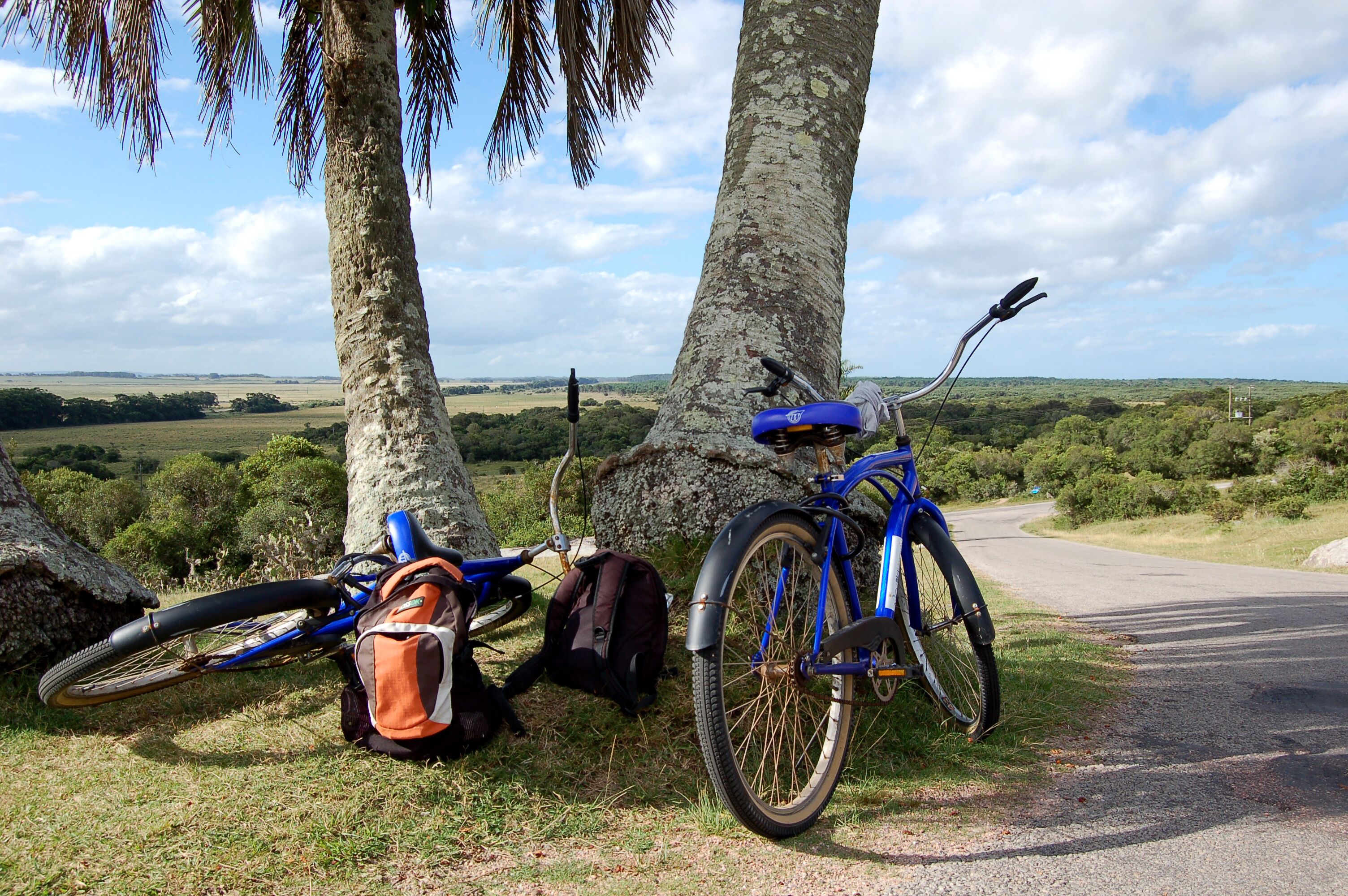 Una bicicleta estacionada junto a un árbol en una carretera rural con vistas panorámicas del campo.