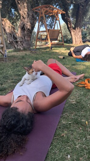 Yoga