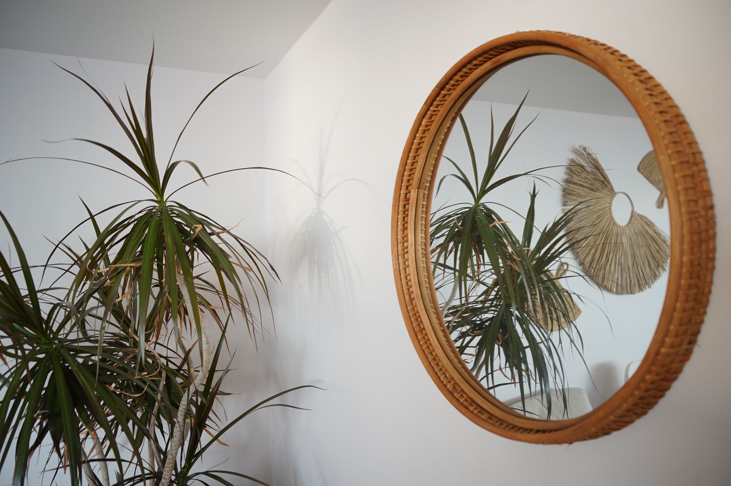 A room with a large mirror, a potted plant, and a wall-mounted decorative item.
