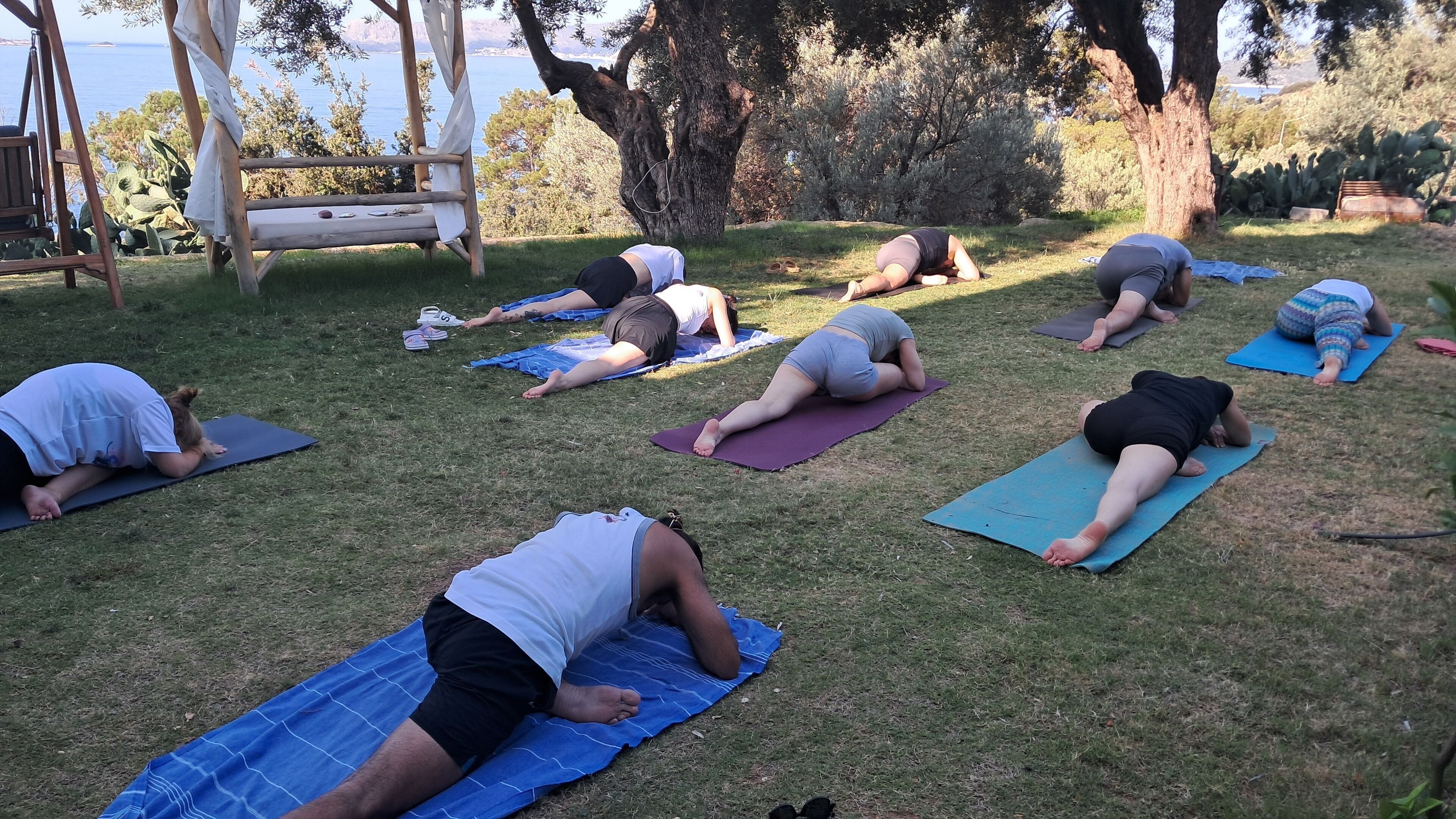 En grupp människor utövar yoga utomhus på en gräsyta, omgiven av träd, med havet som bakgrund.