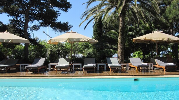 Zona de piscina con sillones de descanso y sombrillas, rodeada de árboles.
