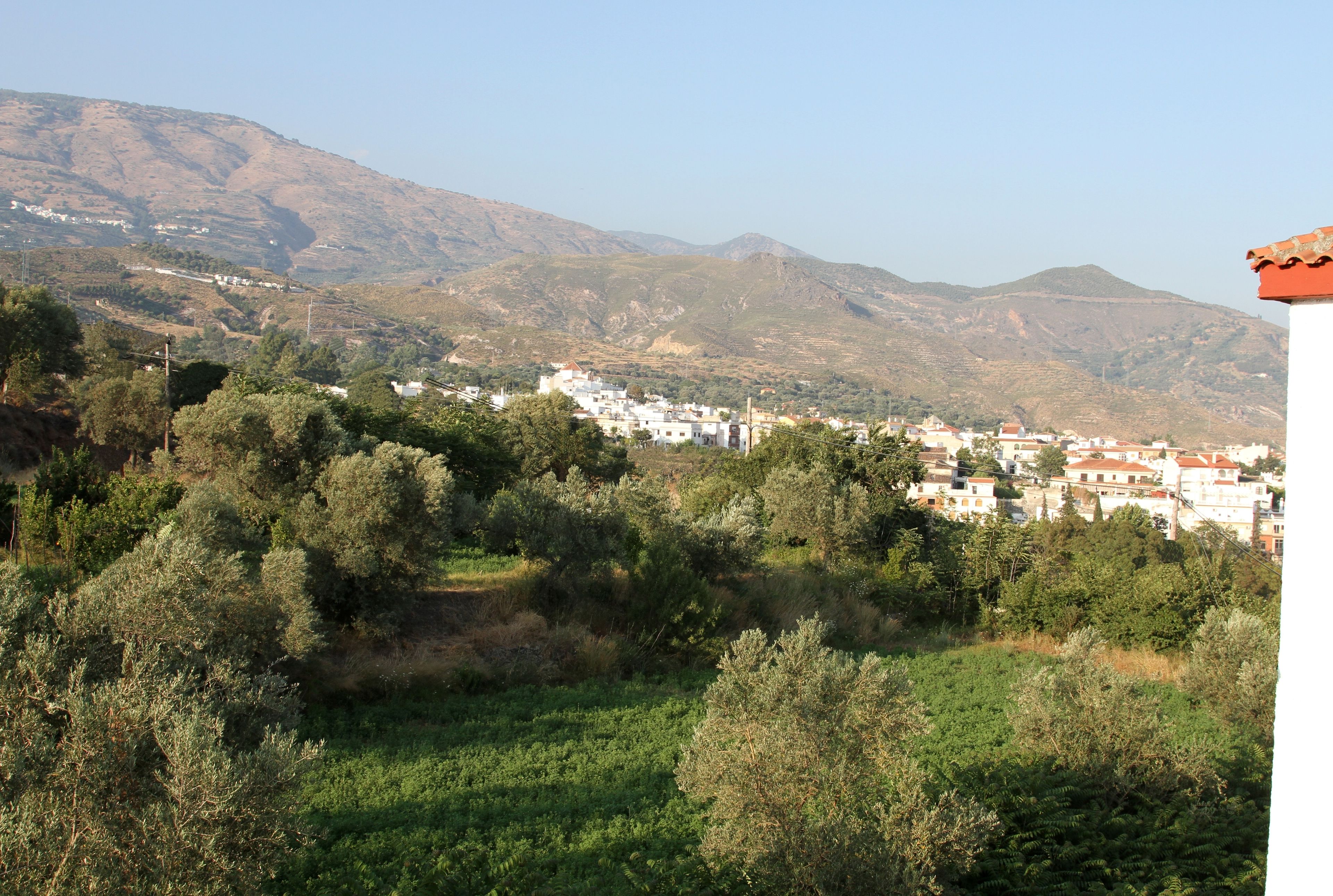 A hillside town with buildings nestled among trees and hills.