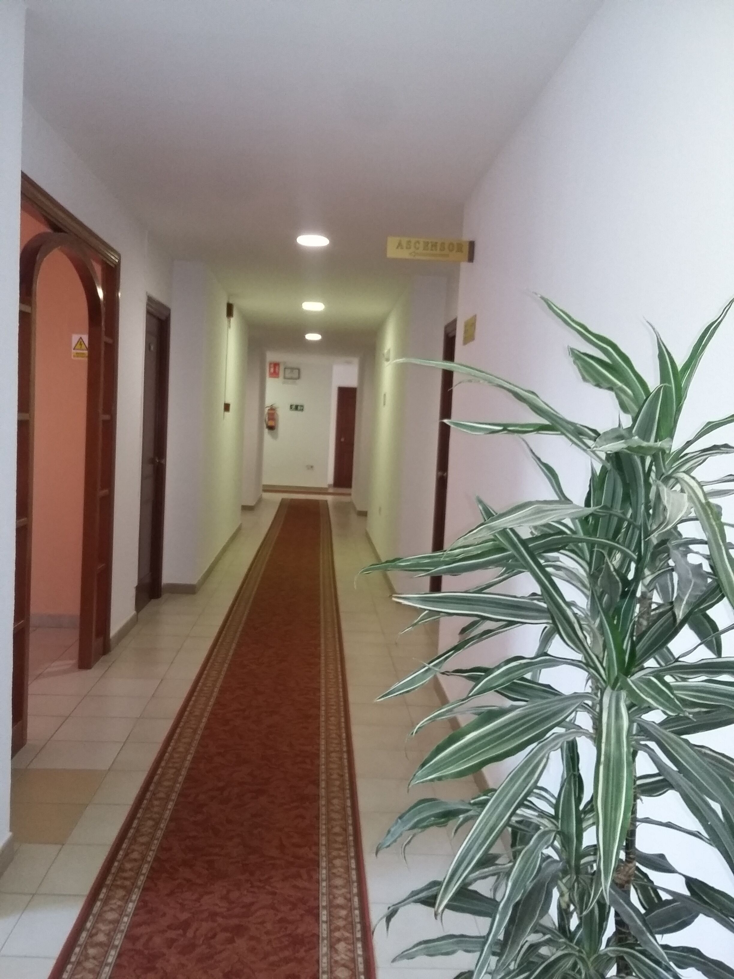 Photo - Hotel Tres Jotas Conil