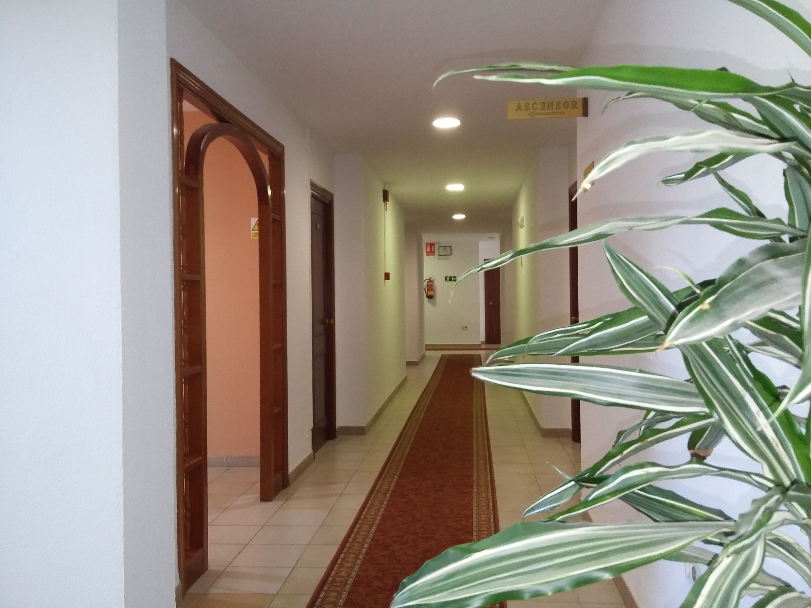 Photo - Hotel Tres Jotas Conil