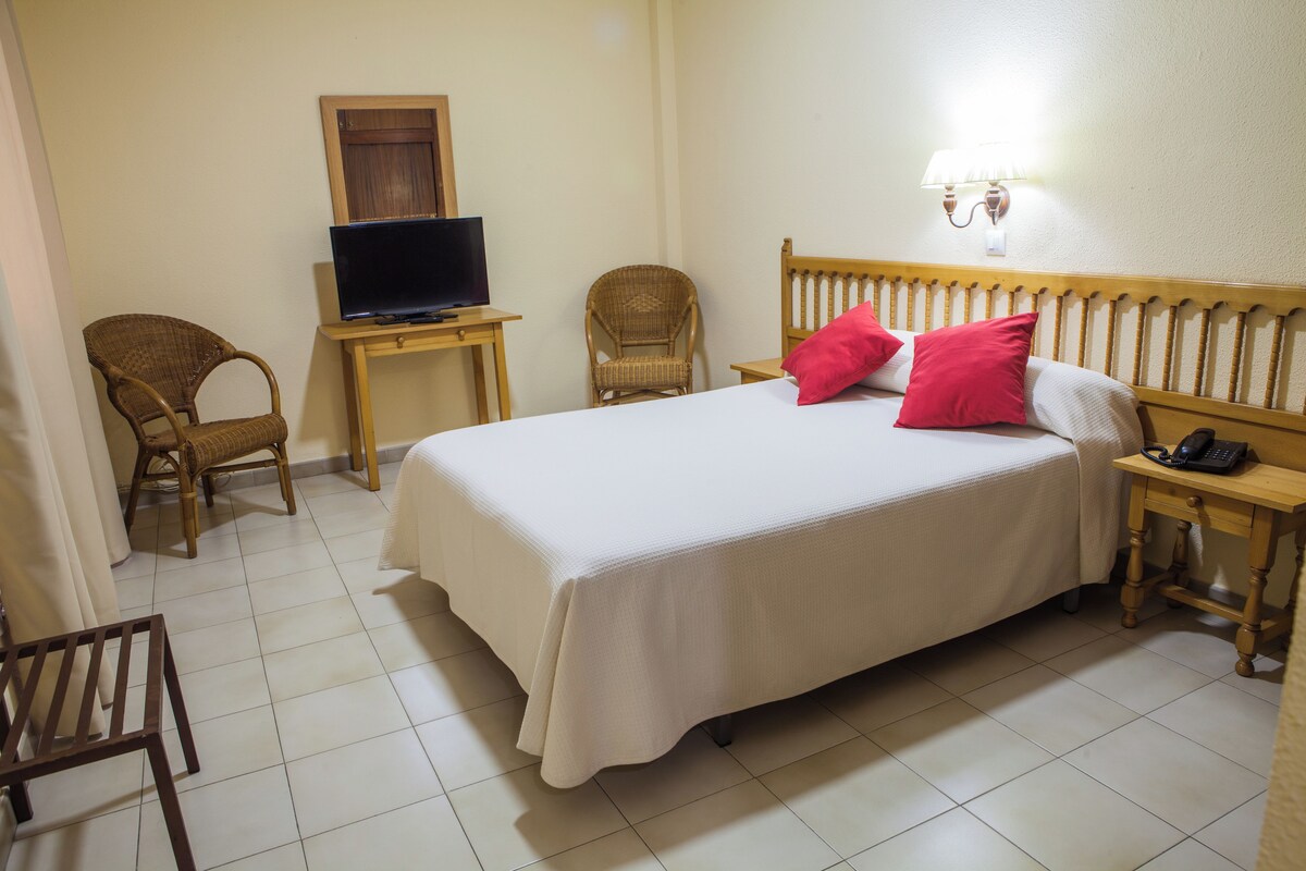 A hotel room with a bed, a television on a small table, two wicker chairs, a bedside table with a lamp, and a telephone.