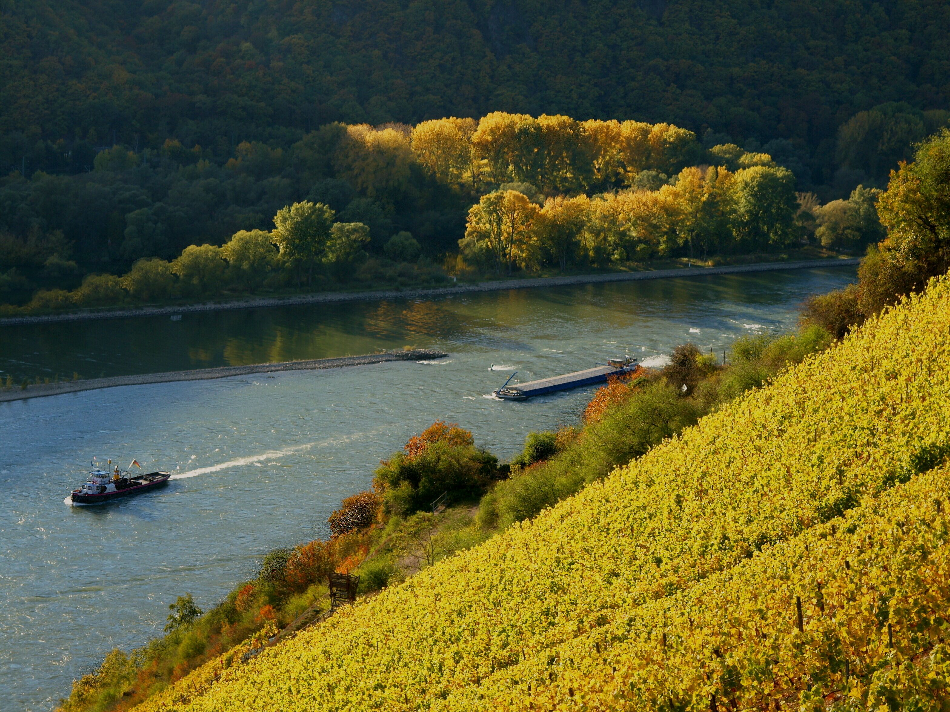 Um rio com barcos, rodeado por vegetação exuberante e um vinhedo.