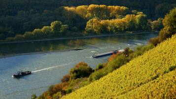 A river with boats, surrounded by lush greenery and a vineyard.