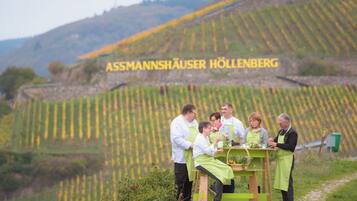 A group of people in a vineyard with rows of grapevines and a sign reading "ASSMANNSHAUSER HOLLENBERG".
