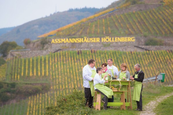 A group of people in a vineyard with rows of grapevines and a sign reading "ASSMANNSHAUSER HOLLENBERG".