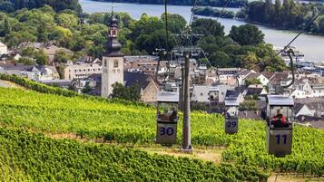 A vineyard with rows of grapevines, a cable car system, and a historic building with a tower in the background.