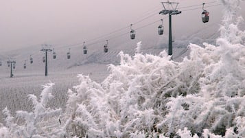 Eine Seilbahn mit Gondeln fährt einen verschneiten Hang hinauf.