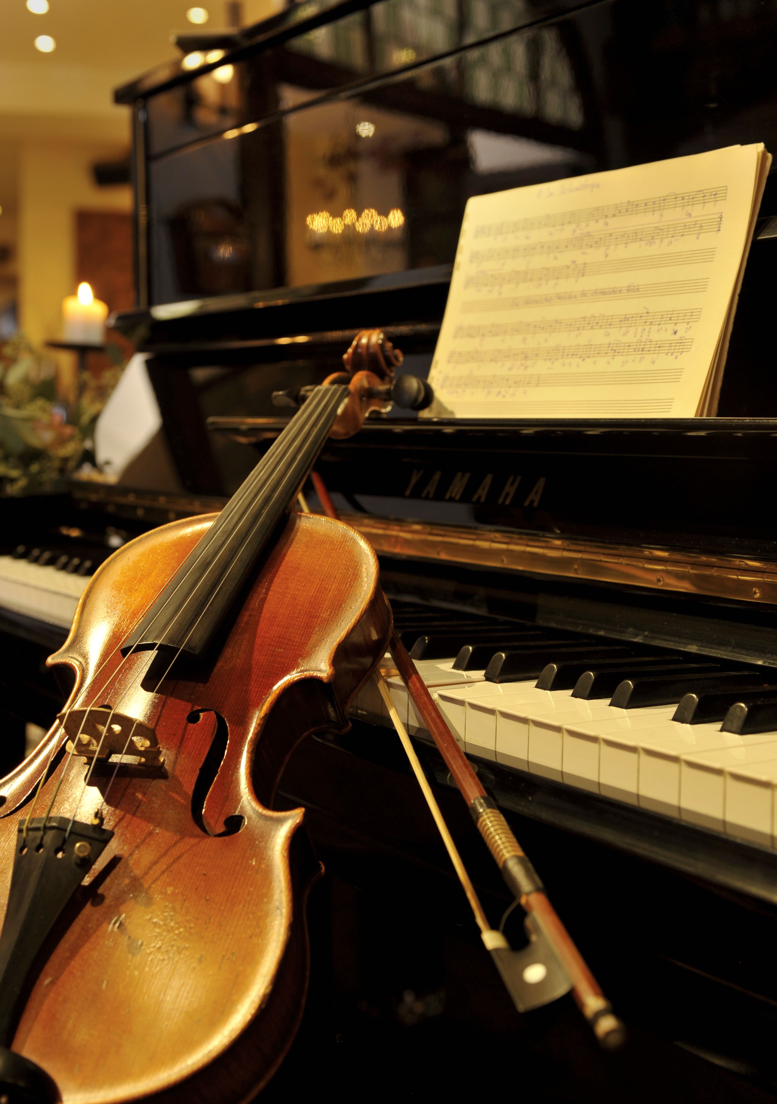 lunch and dinner served, regional cuisine