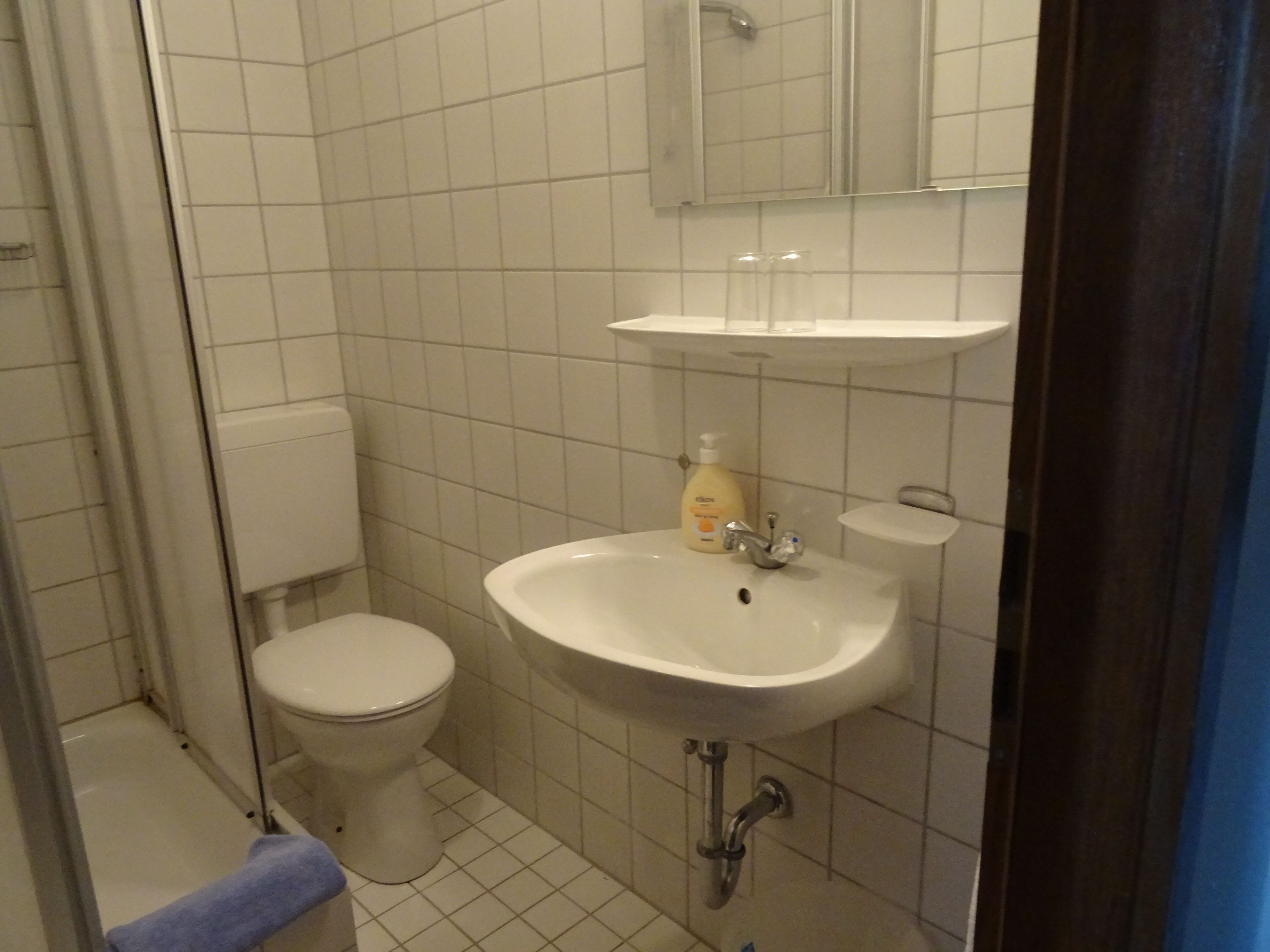 economy single room | bathroom | shower, hair dryer, towels