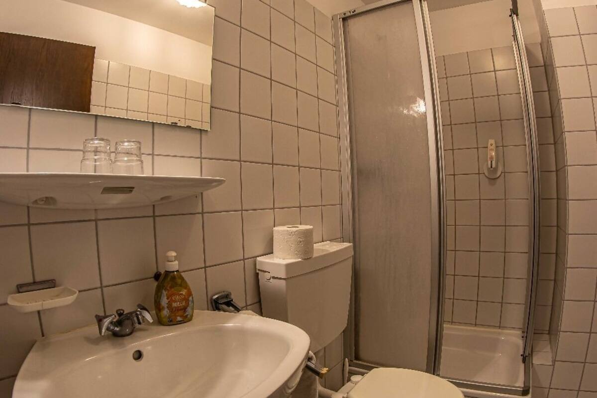 economy twin room | bathroom | shower, hair dryer, towels