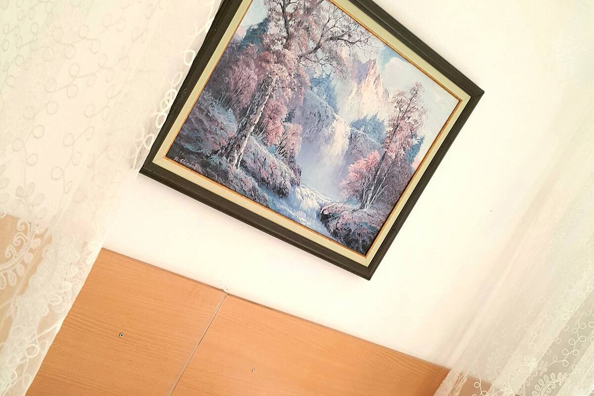 Minibar, desk, iron/ironing board, free WiFi