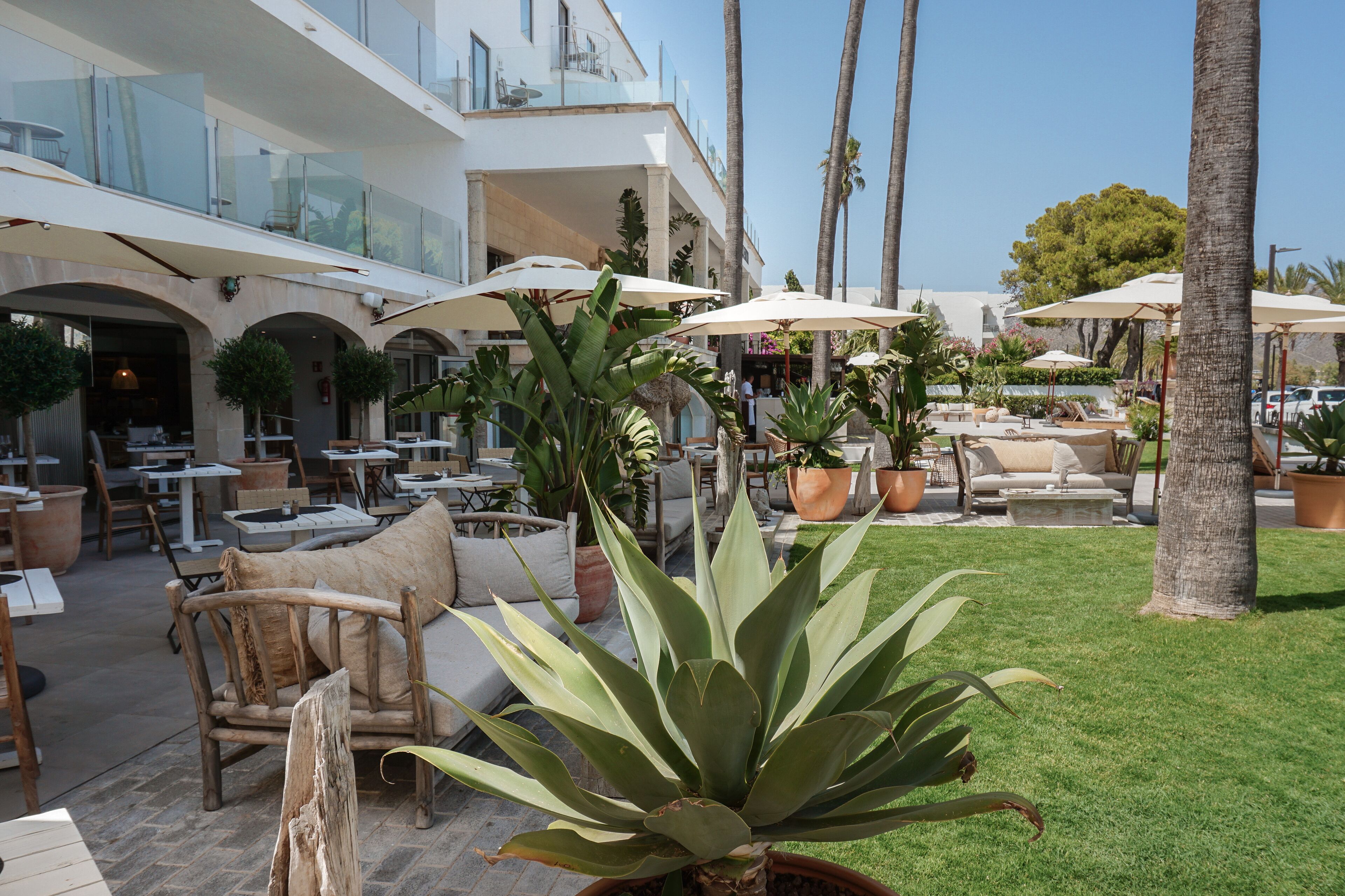 An outdoor patio area with tables, chairs, and umbrellas, surrounded by palm trees and potted plants.
