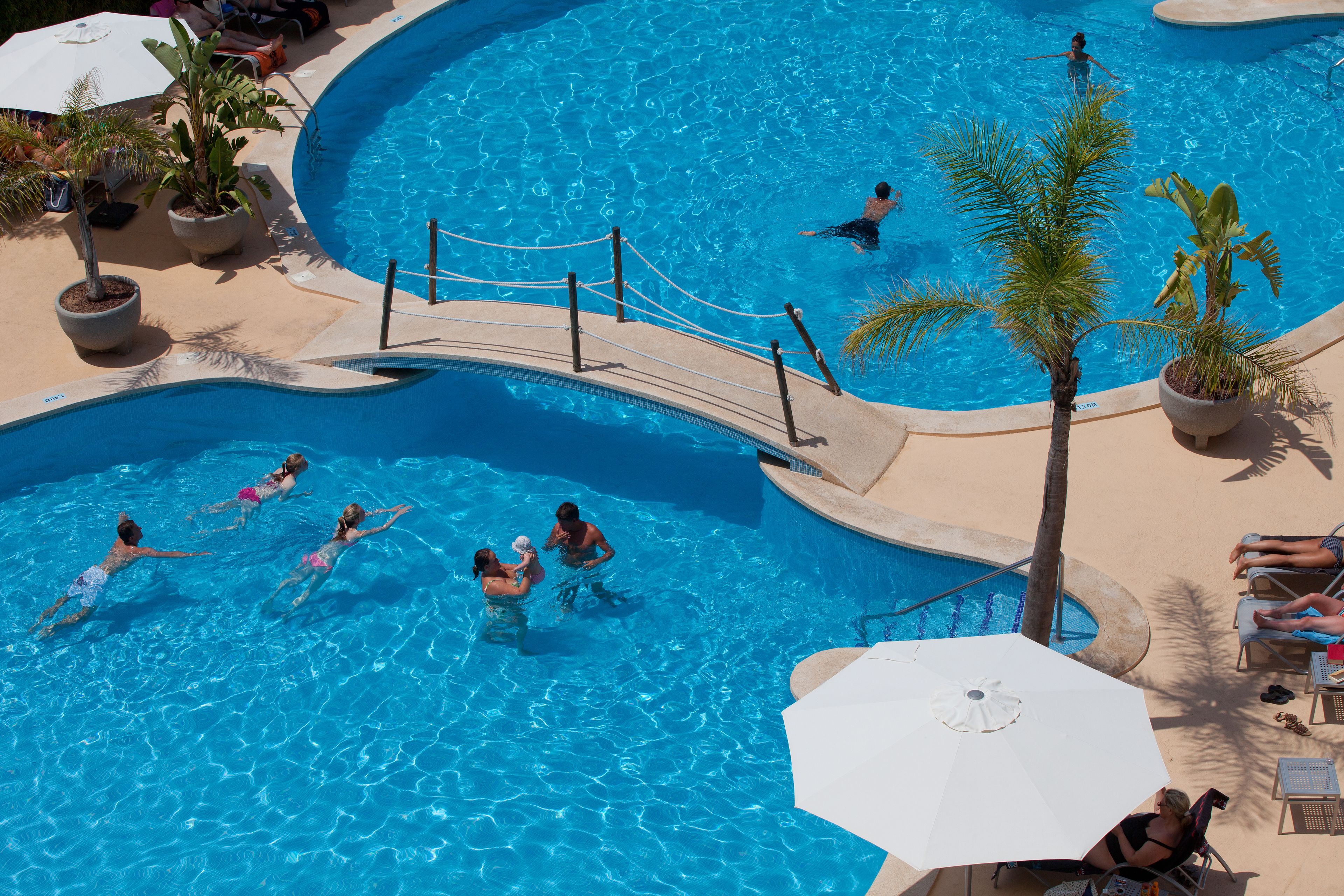 A swimming pool with a bridge, palm trees, and lounge chairs.